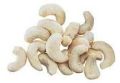 Cashew Nut Kernels-01
