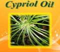 Bulk Cypriol Oil