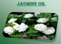 Pure Jasmine Oil