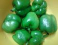 Fresh Capsicum