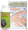 Nodular -BIOFERTILIZER