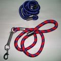 Dog Leads