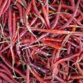 Dehydrated Red Chilli