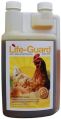 Poultry Feed Supplements