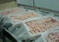 HALAL GRADE A FROZEN WHOLE CHICKEN AND FROZEN CHICKEN FEET/ PAW FOR SA