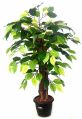 Ficus Plant N.Stick 2'