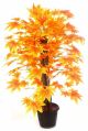 Maple Plant N.Stick  2'(Orange, )