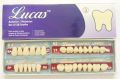 Lucas Teeth Set