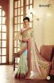 ETHNIC EMBROIDERED BLUE & CREAM NET & GEORGETTE PARTY WEAR SAREE