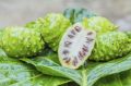 noni juice