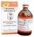 Meloxicam 5 Mg Paracetamol