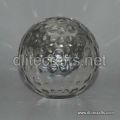 Clear Glass Paper Weight