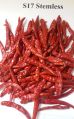 dry indian S17 red chilli