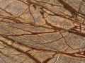 Rain Forest Brown Marble Stone