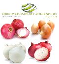 Dehydrated onion export