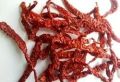 Dried Red Chilli Byadgi Without Stem