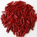 Dried Red Chilli Mundu Without Stem