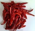 Dried Red Chilli Sannam S4 Without Stem