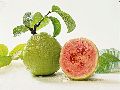 Pink Guava Fruits