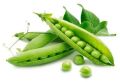 Fresh Green Peas