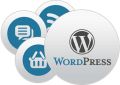 WordPress CMS Web Development