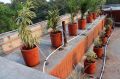 Drip irrigation system in Kitchen Garden