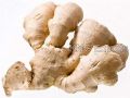 dried ginger