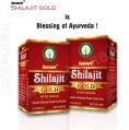 Deemark Shilajit Gold (Combo Pack - 2 Pcs)