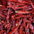 Steamless Red Chilli