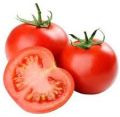 fresh tomato