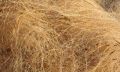 coir fibre