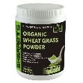 Organic Wheat Grass powder