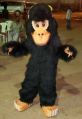 Polyester Multicolor Printed Dubka Full Sleeves chimpanzee costume