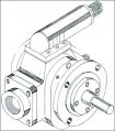 Rotary Gear Pump (DIBX)