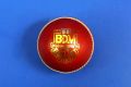 Cricket Ball BDM Bullet