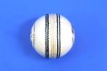 Cricket Ball BDM Dynamic Power -White