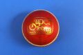 Cricket Ball BDM Super Test
