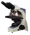 Pathological Microscopes