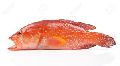 Fresh Red Grouper Fish