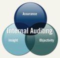 Internal Audit Assurance Services