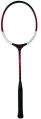 ball badminton racket