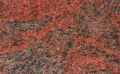 Multicolor Red Granite