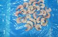 Frozen Headless Easy Peel Shrimps