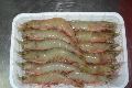 Frozen Sea White Hoso Shrimps
