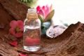 Natural Rose SAI EXPORT indian lotus water