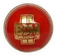 BDM cricket ball