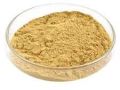 Ultra Filtered Yeast Extract Powder