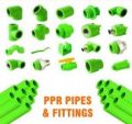 PPR Pipe & Fittings