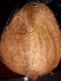 natural brown block black brown white coconut husk