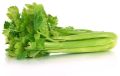 Fresh Celery (Sevarikeerai)